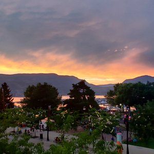 Meet your Posher, Dominique